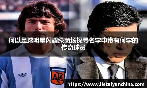 emc易倍·(中国)体育官方网站