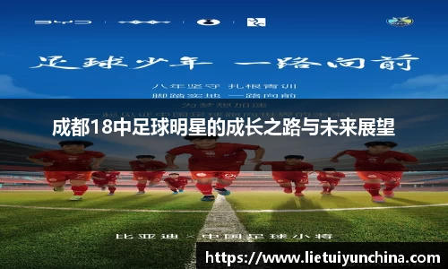 emc易倍·(中国)体育官方网站